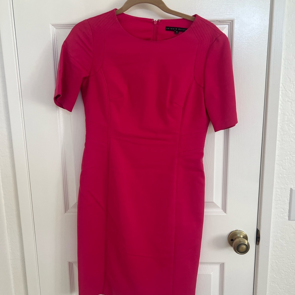 ANTONIO MELANI Pink Midi Dress